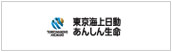 東京海上日動あんしん生命